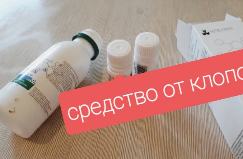 Эффективные способы самостоятельной борьбы с клопами в квартире